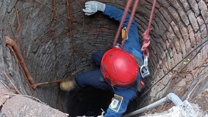 Operasi penyelamatan kucing oleh Damkar Klaten, Jumat (7/11/2025).