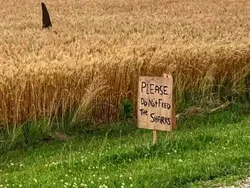 Indah Banget! Kumpulan Seni Kembali ke Alam yang Mengesankan