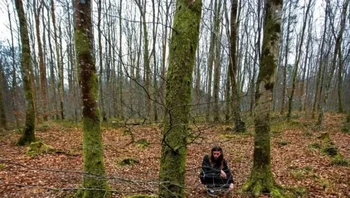 Muscoat oleh Jon Foreman di Minwear Woods, Wales, Inggris. Foto: via StreetArtUtopia