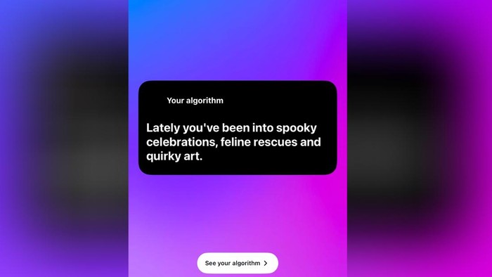Tren Your Algorithm di Instagram