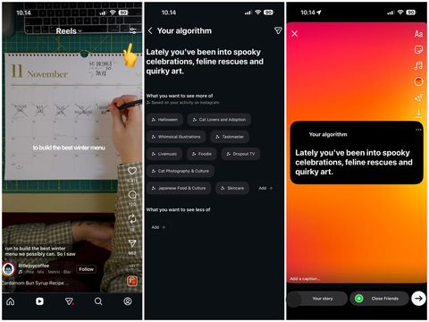 Tren Your Algorithm di Instagram Tren Your Algorithm di Instagram