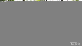 Pecinta Alam Wajib Tahu, Tempat Outbound Seru di Kota Bandung