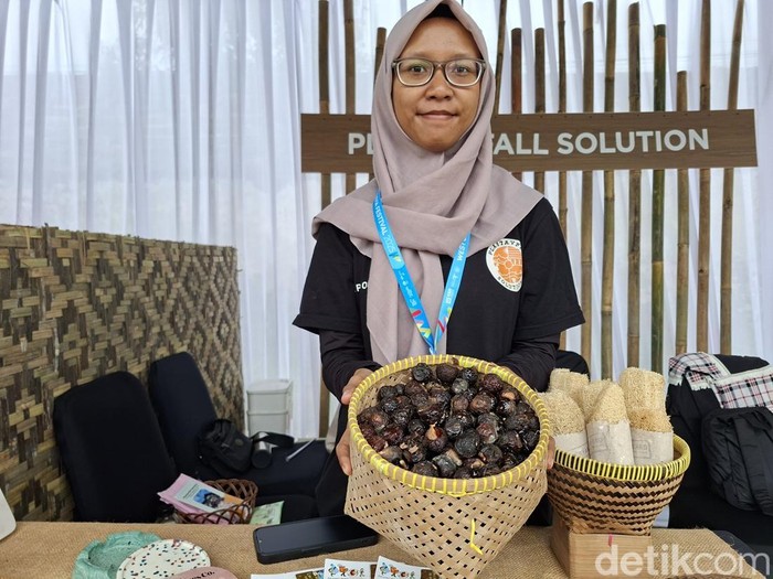 Buah lerak yang kaya manfaat