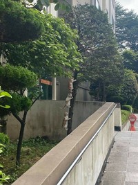 Kelakuan hewan-hewan seperti kucing, ular, anjing, dan lainnya memang tidak bisa ditebak. Ada saja tingkah lucunya seperti di daftar ini. Yuk disimak.