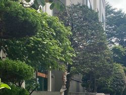 Dijamin Mood Naik! Intip Deh Tingkah Kocak Hewan Viral di Internet Ini