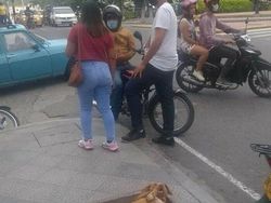 Dijamin Mood Naik! Intip Deh Tingkah Kocak Hewan Viral di Internet Ini