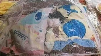 Biar nggak disedot darahnya sama nyamuk. Aman aja. Foto: Bored Panda