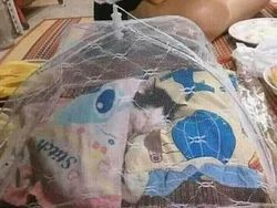 Dijamin Mood Naik! Intip Deh Tingkah Kocak Hewan Viral di Internet Ini