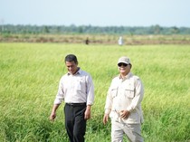 Mentan Nilai Food Estate Merauke Dorong Percepatan Pembangunan Infrastruktur