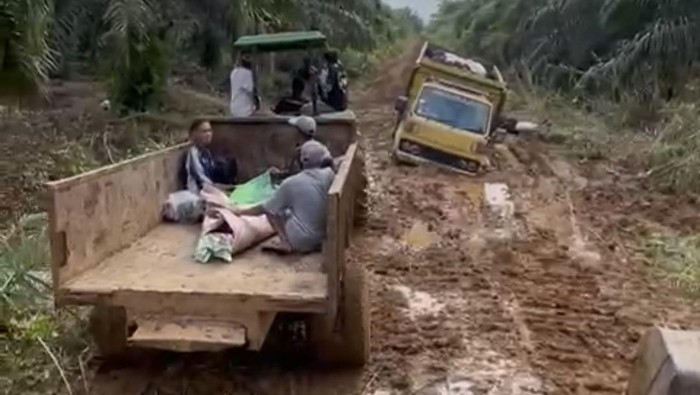 Jenazah warga Jambi yang diangkut dengan mesin traktor.