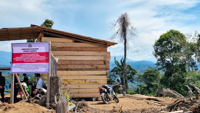 Kawasan hutan di Bengkulu yang diamankan Kemenhut.