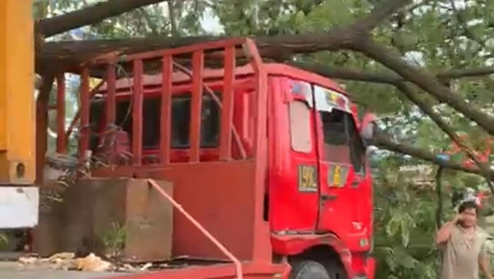 Sebuah truk kontainer menabrak pohon hingga tumbang di Jalan Perintis Kemerdekaan, Kota Makassar, Sulawesi Selatan (Sulsel).