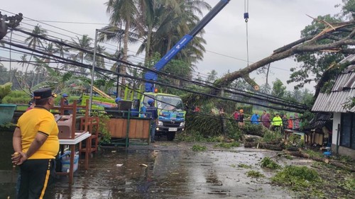 Batang pohon Suar tumbang menghalangi jalan hingga macet dan menimpa warung makan di Sembung, Badung, Sabtu (8/11/2025). (Dok Polsek Mengwi)
