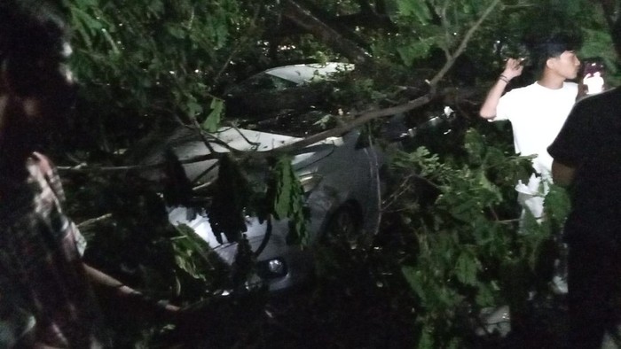 Pohon tumbang timpa mobil di Jalan Perintis Kemerdekaan Makassar.