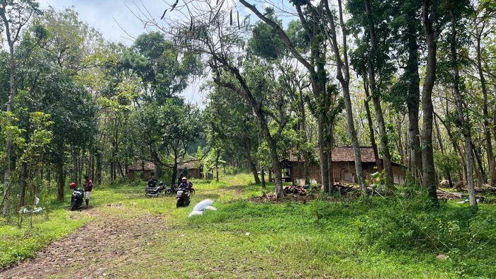 Potret 3 Keluarga Penghuni Hutan Watuseno di Batas Mojokerto-Jombang