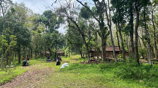 Potret 3 Keluarga Penghuni Hutan Watuseno di Batas Mojokerto-Jombang Potret 3 Keluarga Penghuni Hutan Watuseno di Batas Mojokerto-Jombang