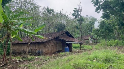 Foto 3 Keluarga Penghuni Hutan Watuseno di Batas Mojokerto-Jombang