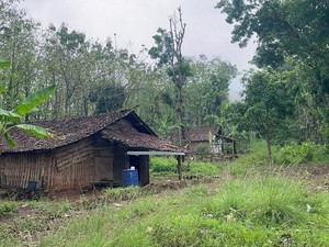 Potret 3 Keluarga Penghuni Hutan Watuseno di Batas Mojokerto-Jombang