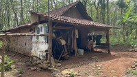 Kondisi Rumah Warga yang tinggal di tengah Hutan Watuseno Foto: Enggran Eko Budiarto/ detikjatim