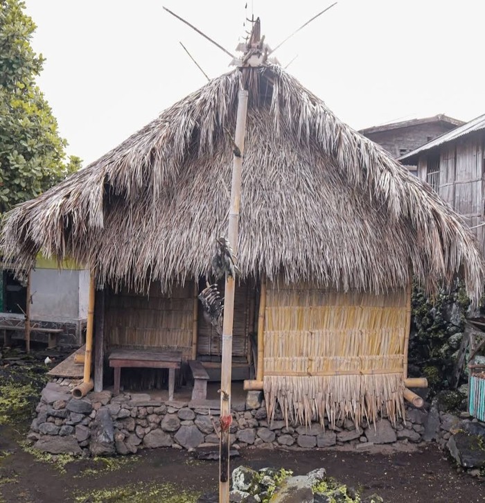 Rumah Adat Masyarakat Desa Helanlangowuyo, Flores Timur, NTT (Tangkap Layar Google Maps/Arwin/2025)