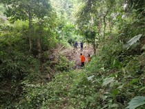 Pria di Luwu Hilang Saat Pantau Kebun di Pegunungan, Tim SAR Cari