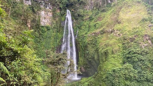 Air Terjun Tiu Sekeper di Lombok Utara, NTB. (Tangkap Layar Google Maps/Taylor)