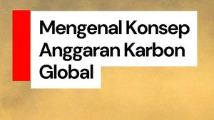 Video: Mengenal Anggaran Karbon Global dan Efeknya Bagi Manusia