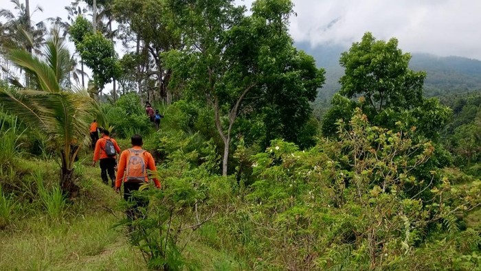 Basarnas Karangasem saat melakukan pencarian lansia yang hilang di Desa Datah, Kecamatan Abang, Karangasem, Minggu (9/11/2025)