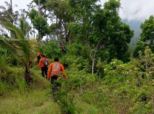 Basarnas Turunkan Anjing Pelacak Cari Lansia Hilang di Karangasem