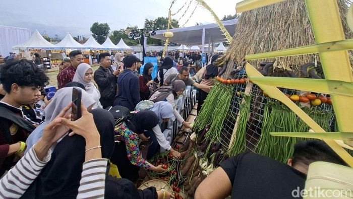 Berburu sayur gratis di WJF 2025, Minggu (9/11/2025).