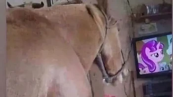 Jangan percaya 100% apa yang kamu lihat di layar kaca. Foto: aestheticwoe via Bored Panda