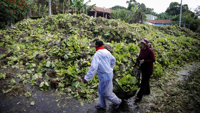 Salvadoran soldiers remove water lettuce (Pistia stratiotes), an invasive plant species that impedes navigation and fishing, from El Cerron Grande reservoir, in Suchitoto, El Salvador September 10, 2025. REUTERS/Jose Cabezas