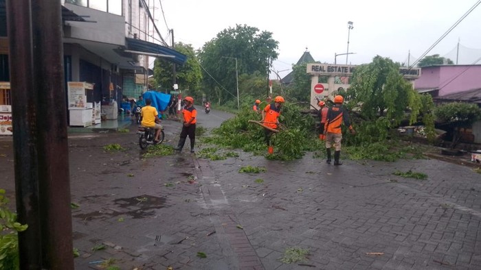 Puting beliung di Waru, Sidoarjo tumbangkan pohon dan rusak warkop