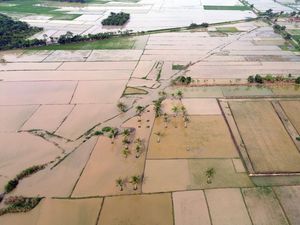 Pemerintah Siapkan Rp 336 M buat Pulihkan Sawah Terdampak Banjir Sumatera