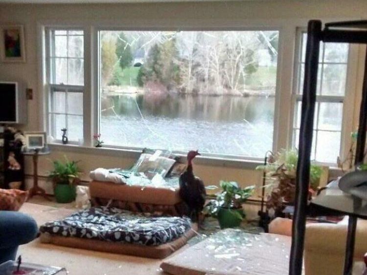 Baru Beli Rumah Impian, Eh Langsung Menyesal