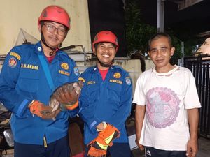 Kucing Nyangkut di Saluran Air Kamar Mandi Warga Depok, Damkar Turun Tangan