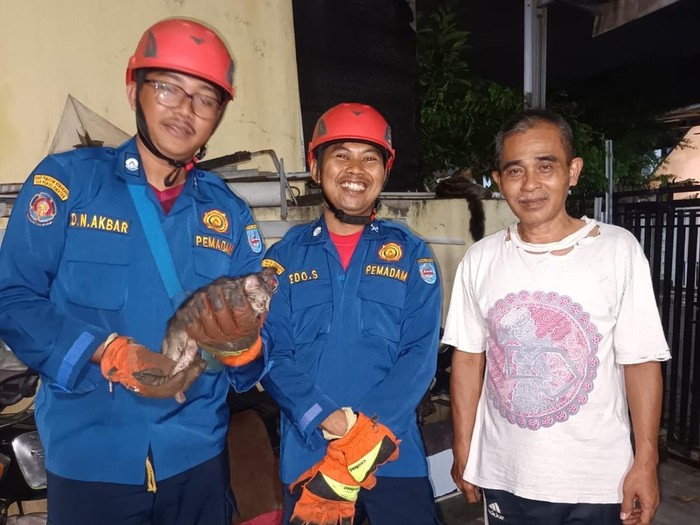 Damkar Depok evakuasi kucing nyangkut di saluran air kamar mandi warga (dok.Damkar Depok)