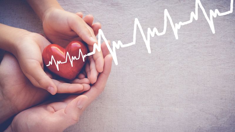 adult and child hands holiding red heart with cardiogram, health care love and family concept