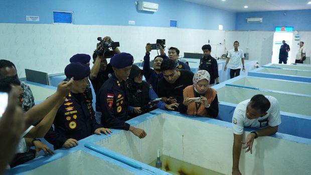 Kantor Wilayah Direktorat Jenderal Bea Cukai Kepulauan Riau gagalkan upaya penyelundupan 281.583 ekor benih bening lobster (BBL) di Perairan Utara Bintan. (Dok. Bea Cukai)