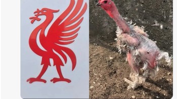 Logo Liverpool usai dibantai Man City. Foto: X.com