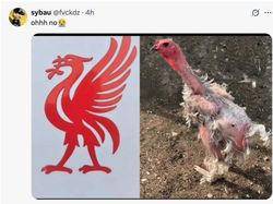 Liverpool Dihajar Man City di Lapangan, Diejek Meme di Medsos