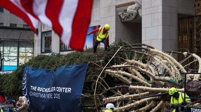 The 2025 Rockefeller Center Christmas Tree, a 75 feet-tall Norway Spruce is installed on Center Plaza at Rockefeller Center in New York City, U.S., November 8, 2025. REUTERS/Ryan Murphy