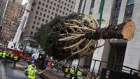 Pohon Natal Raksasa Hiasi Rockefeller Center Sambut Musim Liburan