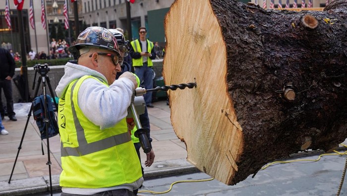 The 2025 Rockefeller Center Christmas Tree, a 75 feet-tall Norway Spruce is installed on Center Plaza at Rockefeller Center in New York City, U.S., November 8, 2025. REUTERS/Ryan Murphy