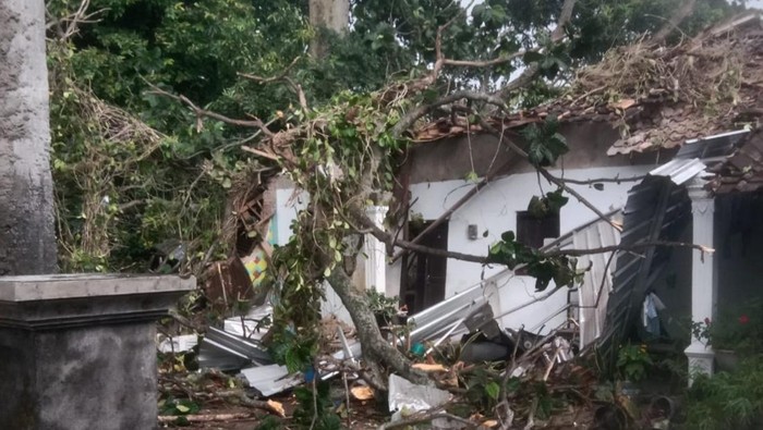 Rumah warga Sawit, Boyolali yang tertimpa pohon tumbang, Senin (10/11/2025).