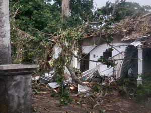 Pohon Tumbang Timpa Rumah di Boyolali, 1 Orang Dilarikan ke RS