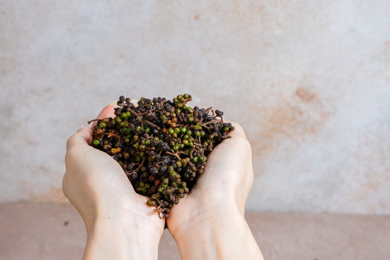 Rempah asli Indonesia