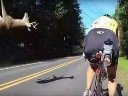 Foto-Foto yang Menangkap Awal Dari Kesialan yang Tak Direncanakan