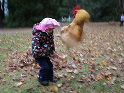 Foto-Foto yang Menangkap Awal Dari Kesialan yang Tak Direncanakan