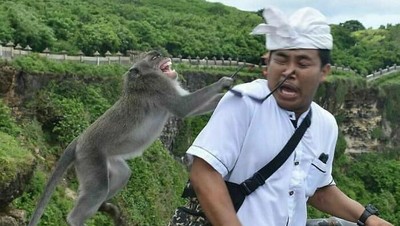 Foto-Foto yang Menangkap Awal Dari Kesialan yang Tak Direncanakan